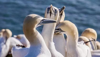 九游下载中心-中国足球联赛俱乐部财务管理透明度持续加强，足球俱乐部财务报表